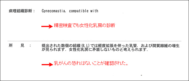 女性化乳房修正術症例№15精密検査の結果