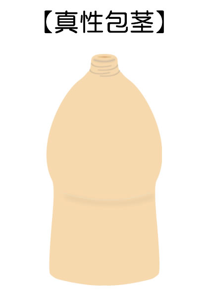 真性包茎