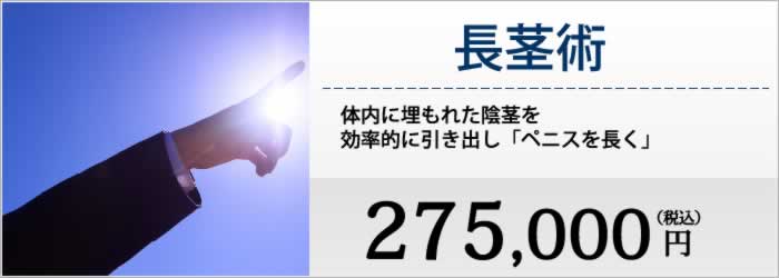 長茎術